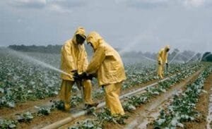 GHANA, GOLDEN INVESTMENT GATEWAY 1 the vaultz africa