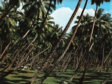 THE REPUBLIC OF SEYCHELLES 70 the vaultz africa